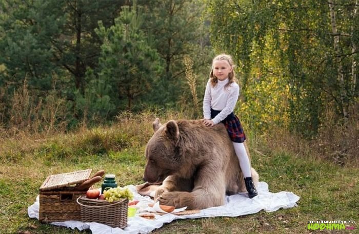 Только в России - новенькое